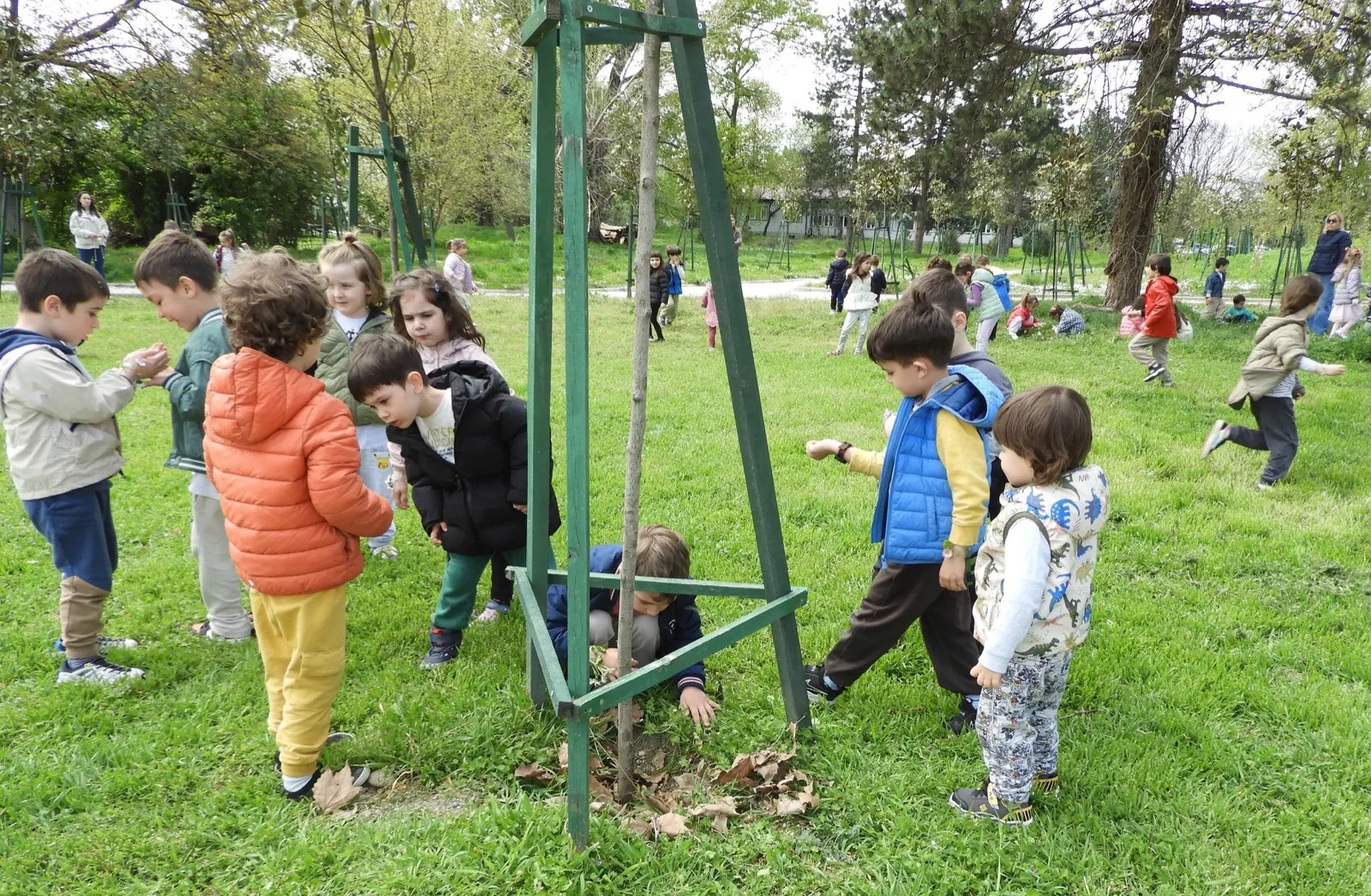Деца на лулашки во дворот
